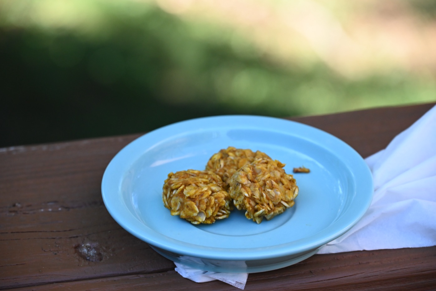 Pupkin treats on a blue plate